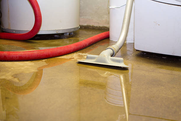 Best Professional water damage repair  in Sky Lake, FL