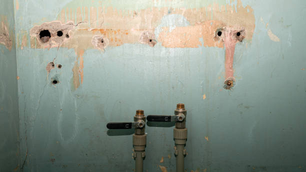 Best Water damage restoration near me  in Sky Lake, FL