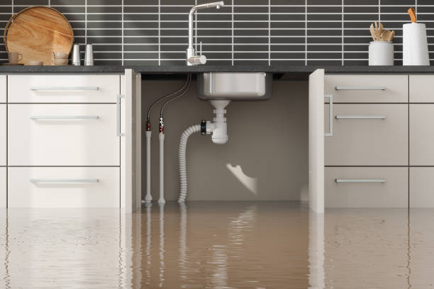 Best Flood restoration services  in Sky Lake, FL