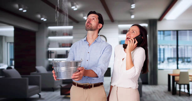 Best 24-hour water damage restoration  in Sky Lake, FL